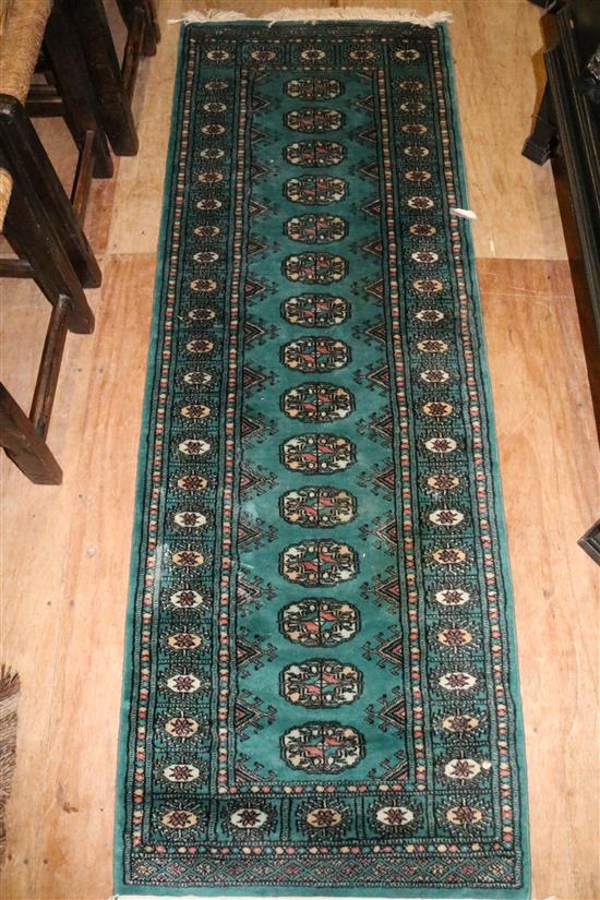 Persian green runner